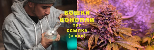 mdma Дмитровск